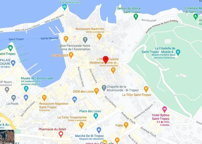 La Treille Au Coeur Du Village Saint-Tropez